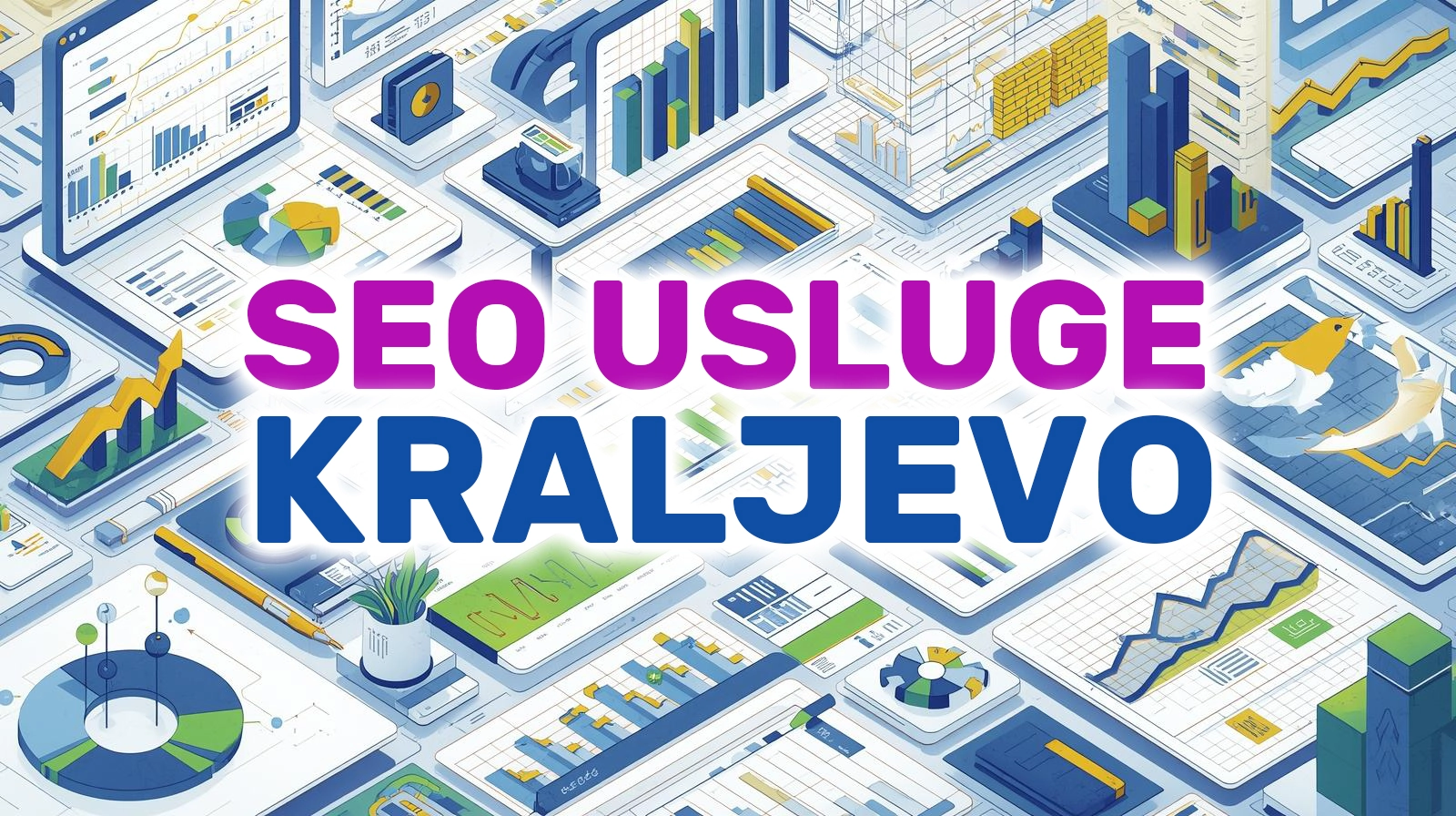 SEO Optimizacija Kraljevo